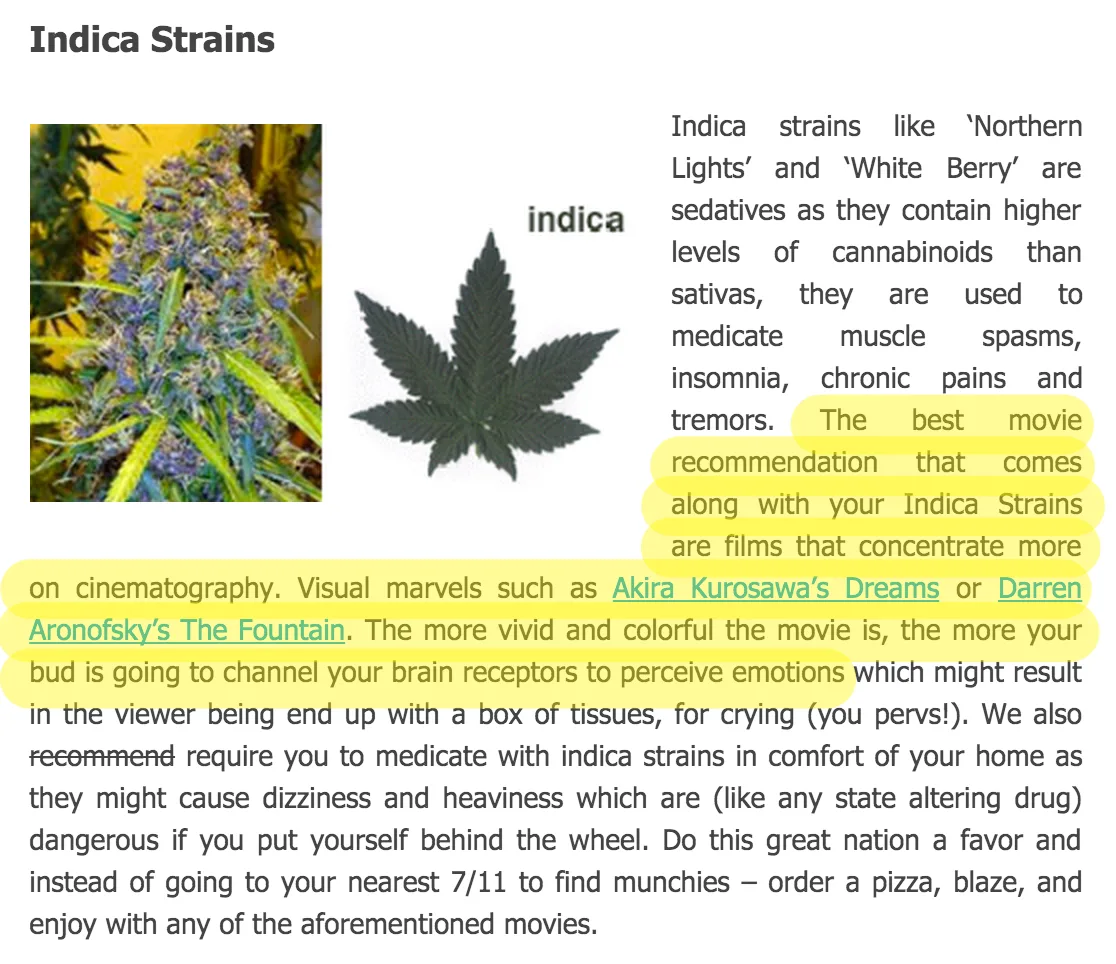 Stoner Movie Copywriter For Niche Website