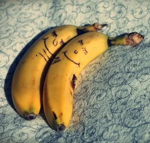 True Love Soul Mate