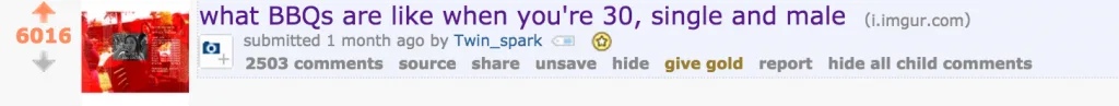 what BBQs are like when you're 30, single and male reddit