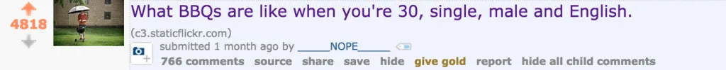 What BBQs are like when you're 30, single, male and English. reddit